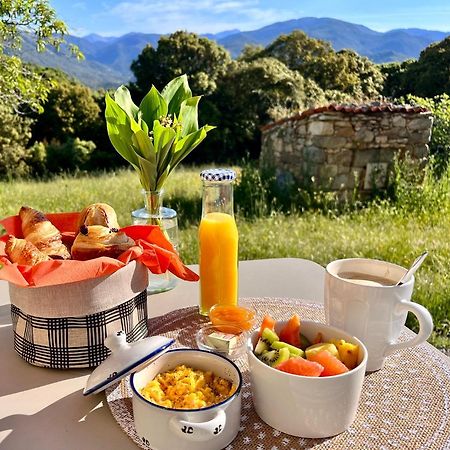 Tradition Corse Et Modernite A Cantina Granace Buitenkant foto