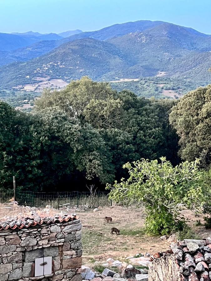 Tradition Corse Et Modernite A Cantina Granace Buitenkant foto
